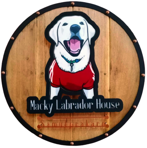 mackylabradors.com